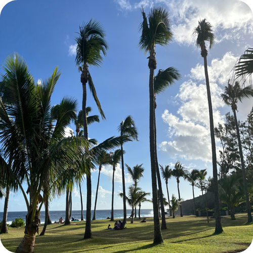 Grande Anse