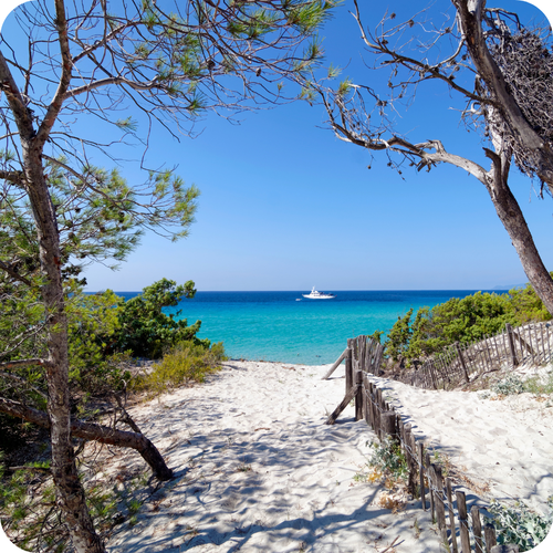 plages de Saleccia Corse